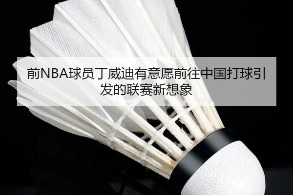 前NBA球员丁威迪有意愿前往中国打球引发的联赛新想象